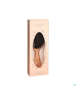 Cent pur cent brosse cheveux luxe