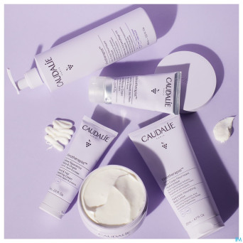 Caudalie vinotherapist cr beaute pieds 75ml  promo