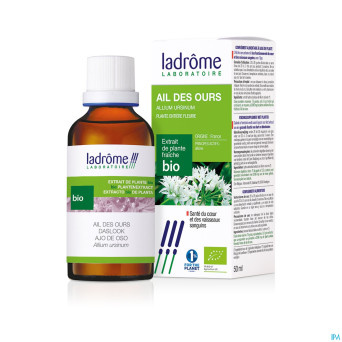 Ladrome allium ursinum/ail ours 50ml