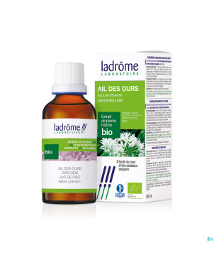 Ladrome allium ursinum/ail ours 50ml