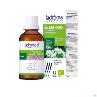 Ladrome allium ursinum/ail ours 50ml