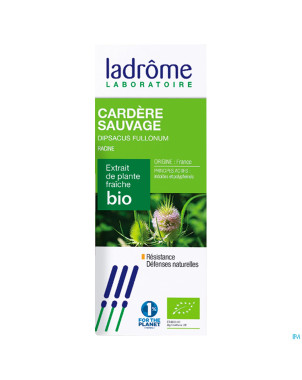 Ladrome cardere sauvages-dipsacus fullon.rac. 50ml