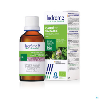 Ladrome cardere sauvages-dipsacus fullon.rac. 50ml