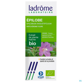 Ladrome epilobium parviflorum/epilobe 50ml