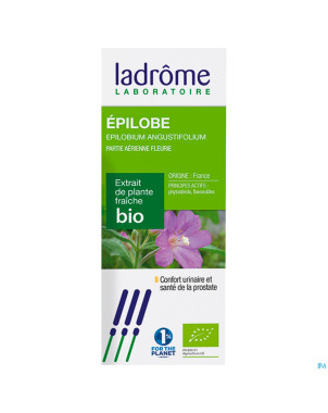 Ladrome epilobium parviflorum/epilobe 50ml