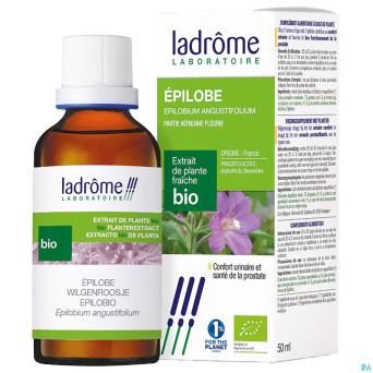 Ladrome epilobium parviflorum/epilobe 50ml