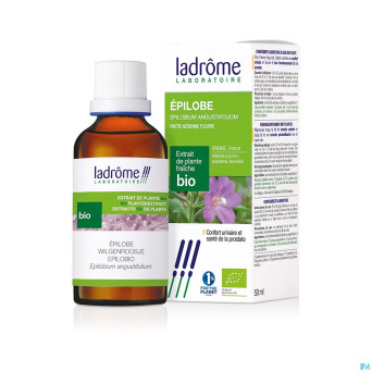 Ladrome epilobium parviflorum/epilobe 50ml