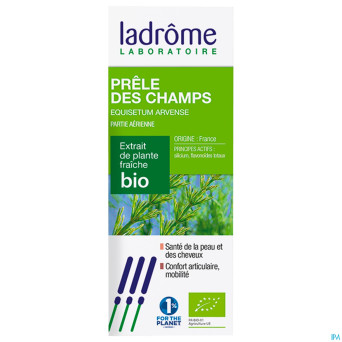 Ladrome equisetum arvense/prele des champs 50ml