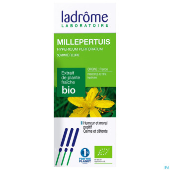 Ladrome hypericum perforatum/millepertuis 50ml