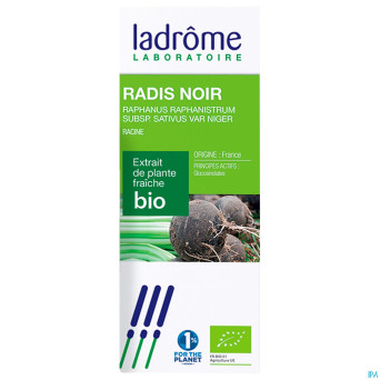 Ladrome raphanus sativus var.niger/radis noir 50ml