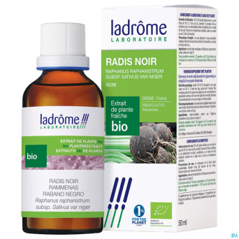 Ladrome raphanus sativus var.niger/radis noir 50ml