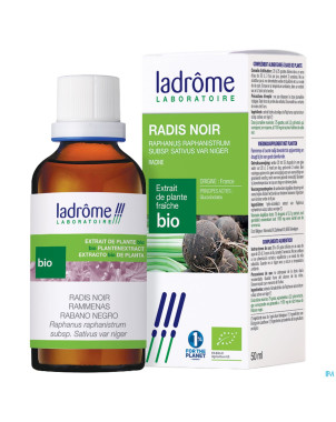 Ladrome raphanus sativus var.niger/radis noir 50ml