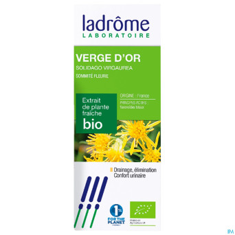 Ladrome solidago virgaurea/verge or 50ml