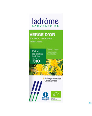Ladrome solidago virgaurea/verge or 50ml