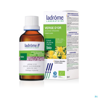 Ladrome solidago virgaurea/verge or 50ml