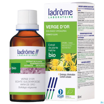 Ladrome solidago virgaurea/verge or 50ml