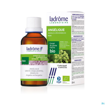 Ladrome angelica archangelica/angelique 50ml