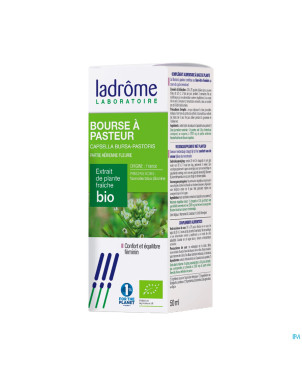 Ladrome capsella bursa pastoris/bourse pasteur50ml