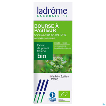 Ladrome capsella bursa pastoris/bourse pasteur50ml