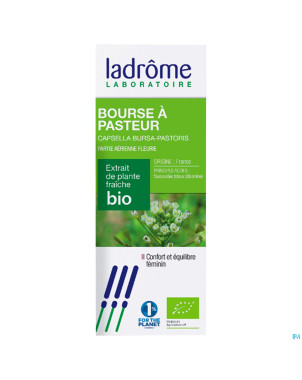 Ladrome capsella bursa pastoris/bourse pasteur50ml