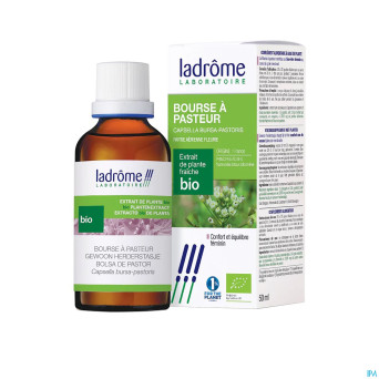 Ladrome capsella bursa pastoris/bourse pasteur50ml