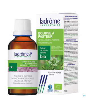 Ladrome capsella bursa pastoris/bourse pasteur50ml