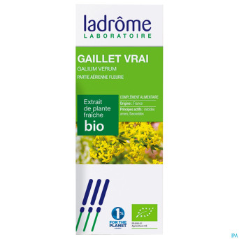 Ladrome galium verum/caillelait 50ml