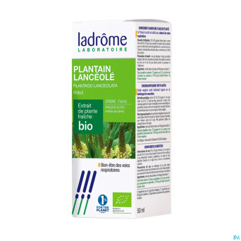 Ladrome plantago lanceolata/plantain 50ml