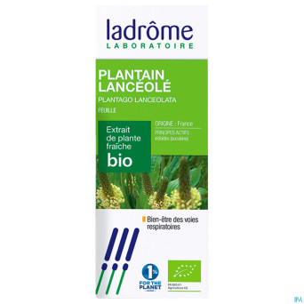 Ladrome plantago lanceolata/plantain 50ml