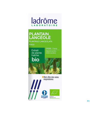 Ladrome plantago lanceolata/plantain 50ml
