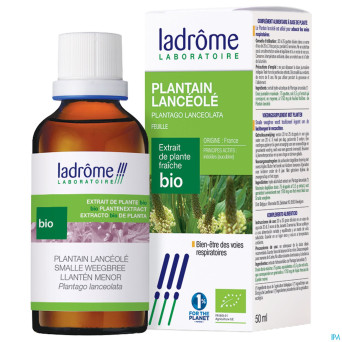Ladrome plantago lanceolata/plantain 50ml