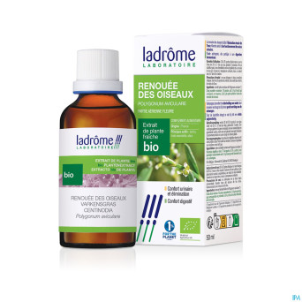 Ladrome polygonium aviculare/renouee oiseaux 50ml