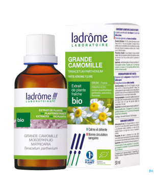 Ladrome tanacetum parthenium/camomille grande 50ml