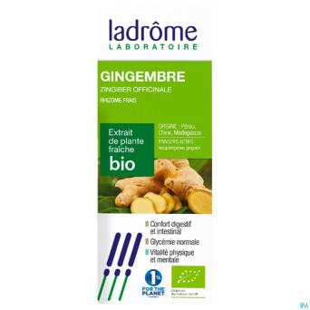 Ladrome zingiber officinalis/gingembre 50ml