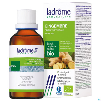 Ladrome zingiber officinalis/gingembre 50ml