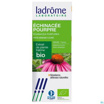 Ladrome echinacea purpurea/echinacee 100ml
