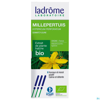 Ladrome hypericum perforatum/millepertuis 100ml