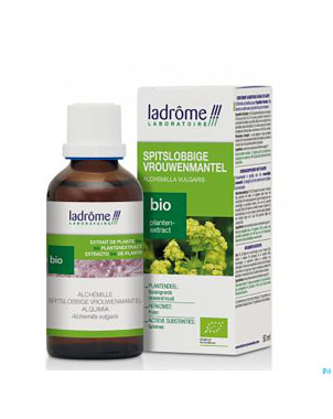 Ladrome alchemilla vulgaris/alchemille 100ml