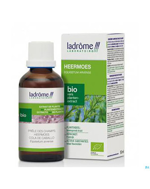 Ladrome equisetum arvense/prele champs 100ml