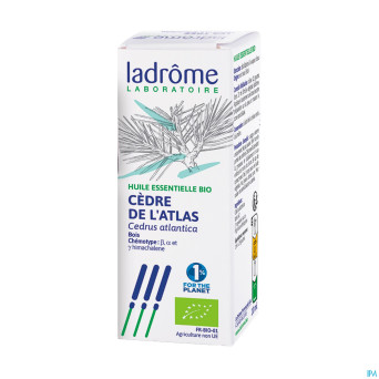 Ladrome cedrus atlantica - cedre de l'atlas 10ml