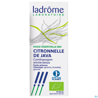 Ladrome cymbopogon winterianus/citronelle java10ml