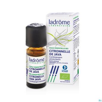 Ladrome cymbopogon winterianus/citronelle java10ml