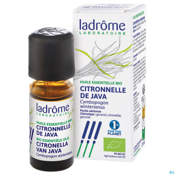 Ladrome cymbopogon winterianus/citronelle java10ml