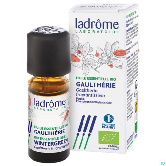 Ladrome gaultheria frangrantissima/wintergreen10ml