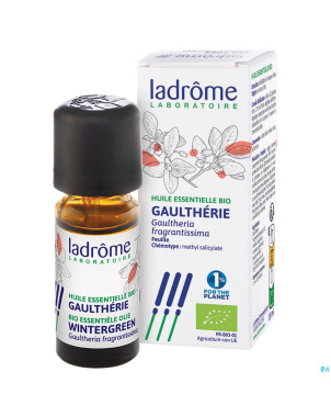 Ladrome gaultheria frangrantissima/wintergreen10ml