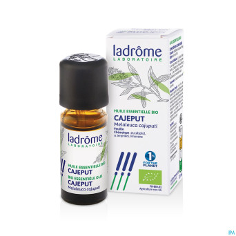 Ladrome melaleuca leucadendron/cajeput 10ml