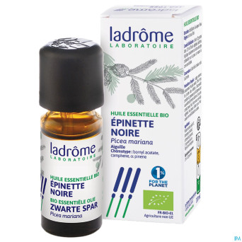 Ladrome picea mariana/epinette noir 10ml