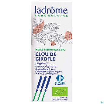 Ladrome syzygium aromaticum/clou girofle 10ml