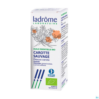 Ladrome carotte sauvage 5ml
