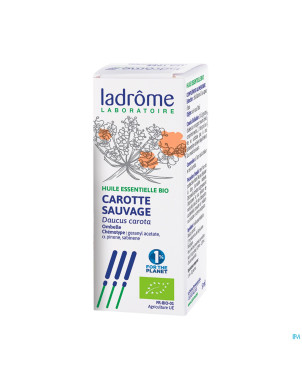 Ladrome carotte sauvage 5ml